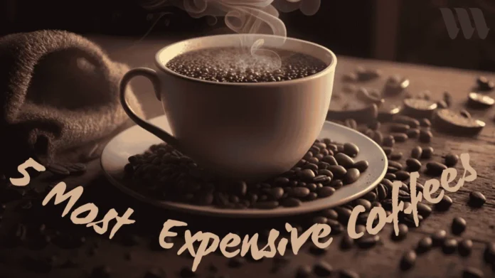 Most Expensive Coffee