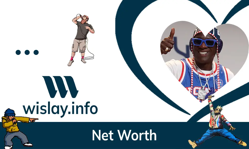 Flavor Flav Net Worth 2024