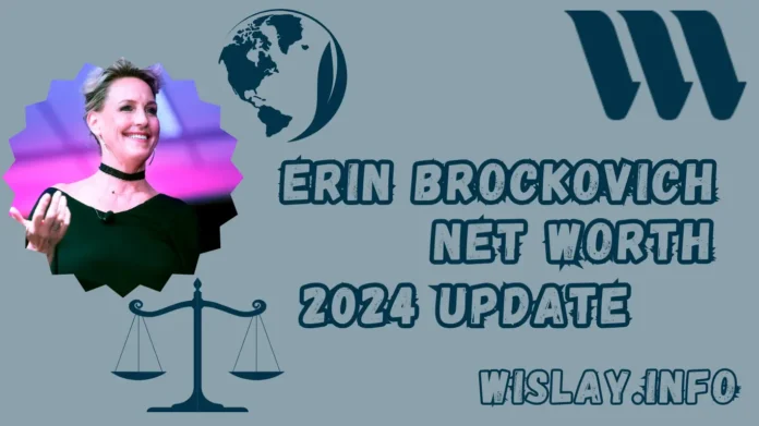 Erin Brockovich's Net Worth 2024